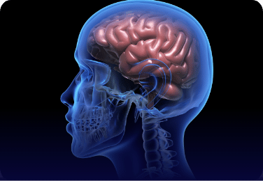neurosciences